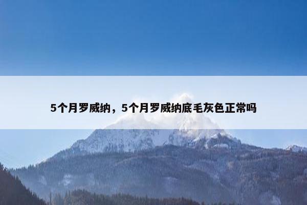 5个月罗威纳，5个月罗威纳底毛灰色正常吗