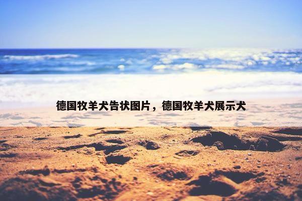 德国牧羊犬告状图片，德国牧羊犬展示犬