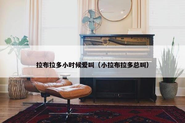 拉布拉多小时候爱叫（小拉布拉多总叫）