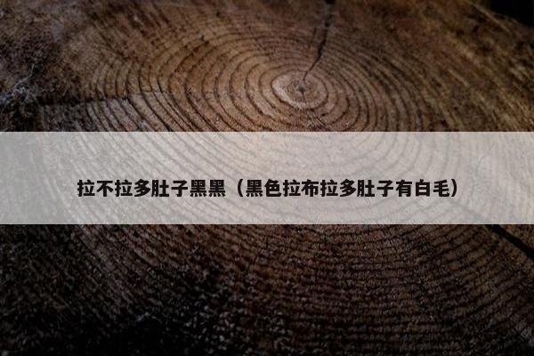 拉不拉多肚子黑黑（黑色拉布拉多肚子有白毛）