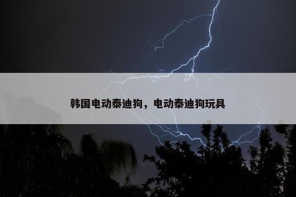 韩国电动泰迪狗，电动泰迪狗玩具