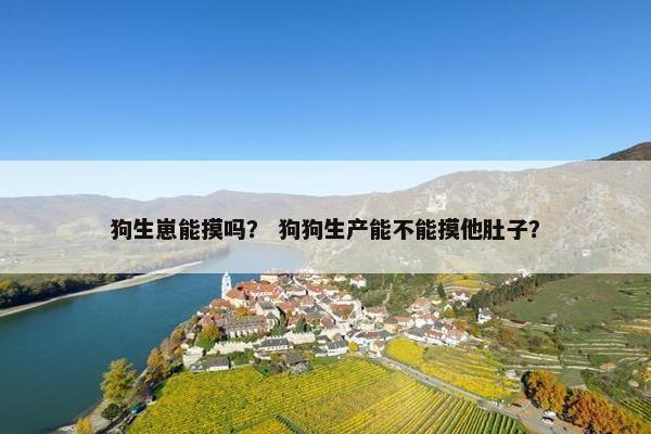 狗生崽能摸吗？ 狗狗生产能不能摸他肚子？