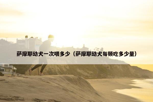 萨摩耶幼犬一次喂多少（萨摩耶幼犬每顿吃多少量）