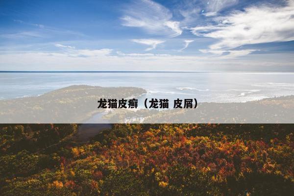 龙猫皮癣（龙猫 皮屑）