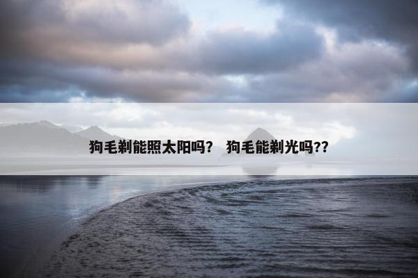 狗毛剃能照太阳吗？ 狗毛能剃光吗?？