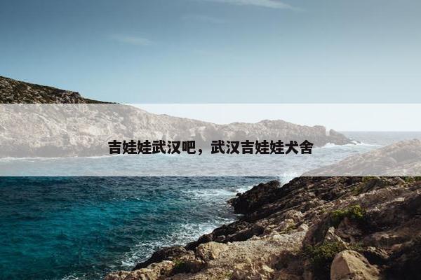吉娃娃武汉吧，武汉吉娃娃犬舍