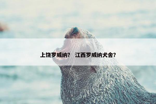 上饶罗威纳？ 江西罗威纳犬舍？