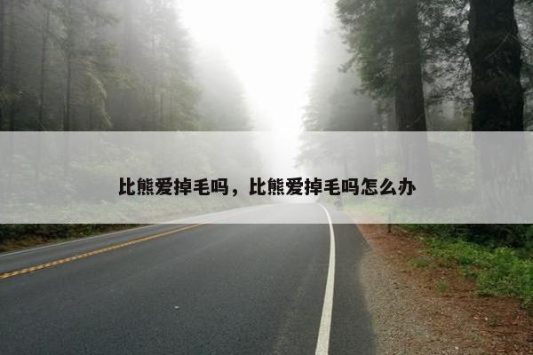 比熊爱掉毛吗，比熊爱掉毛吗怎么办