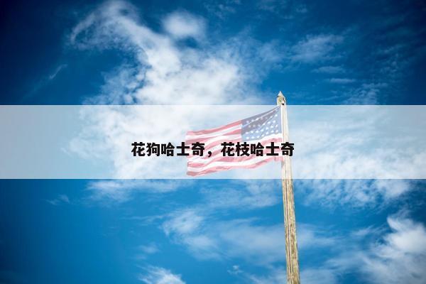 花狗哈士奇，花枝哈士奇