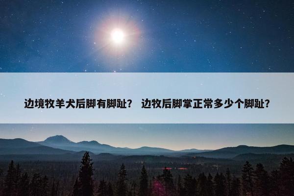 边境牧羊犬后脚有脚趾？ 边牧后脚掌正常多少个脚趾？