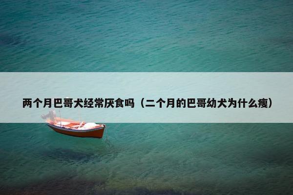 两个月巴哥犬经常厌食吗（二个月的巴哥幼犬为什么瘦）