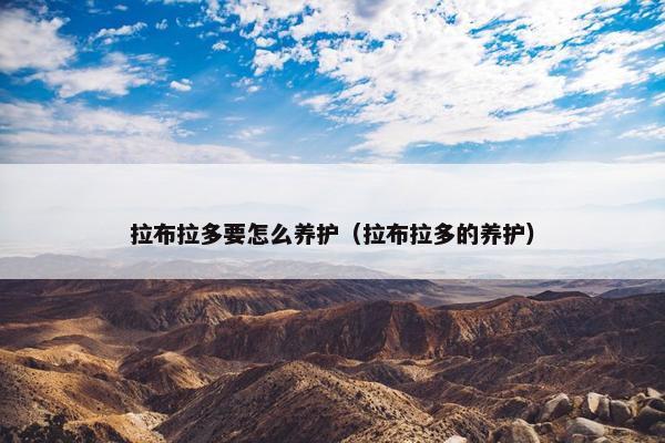 拉布拉多要怎么养护（拉布拉多的养护）