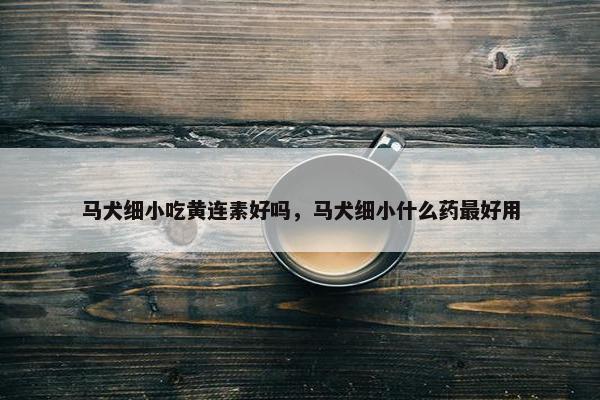 马犬细小吃黄连素好吗，马犬细小什么药最好用