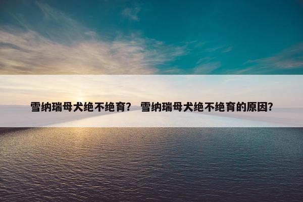 雪纳瑞母犬绝不绝育？ 雪纳瑞母犬绝不绝育的原因？