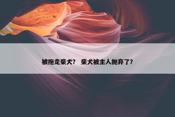被拖走柴犬？ 柴犬被主人抛弃了？