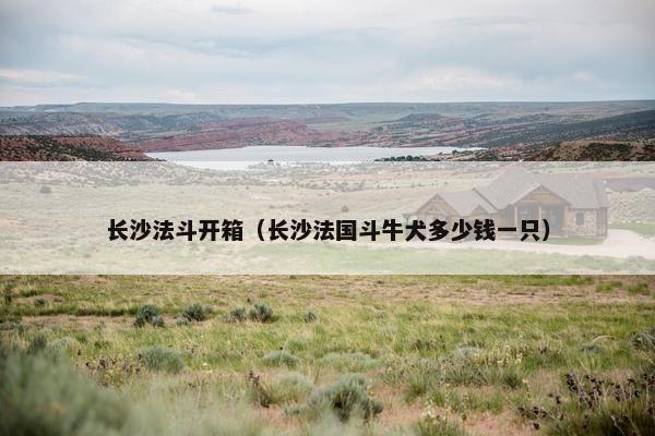 长沙法斗开箱（长沙法国斗牛犬多少钱一只）