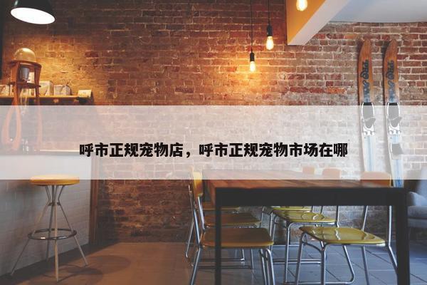 呼市正规宠物店，呼市正规宠物市场在哪