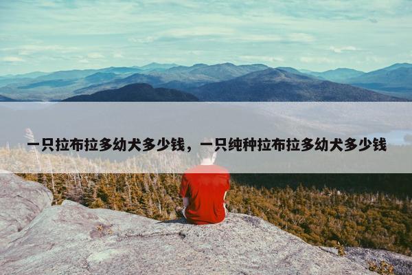 一只拉布拉多幼犬多少钱，一只纯种拉布拉多幼犬多少钱