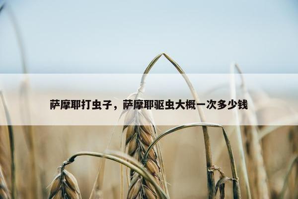 萨摩耶打虫子，萨摩耶驱虫大概一次多少钱