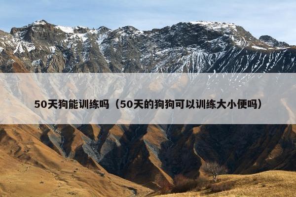 50天狗能训练吗（50天的狗狗可以训练大小便吗）