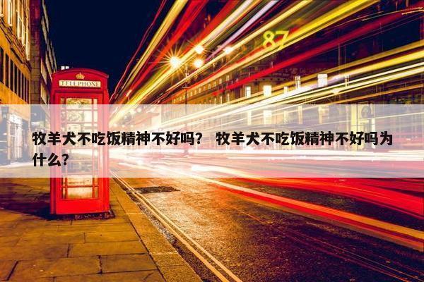 牧羊犬不吃饭精神不好吗？ 牧羊犬不吃饭精神不好吗为什么？
