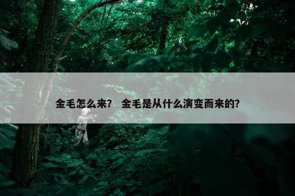 金毛怎么来？ 金毛是从什么演变而来的？