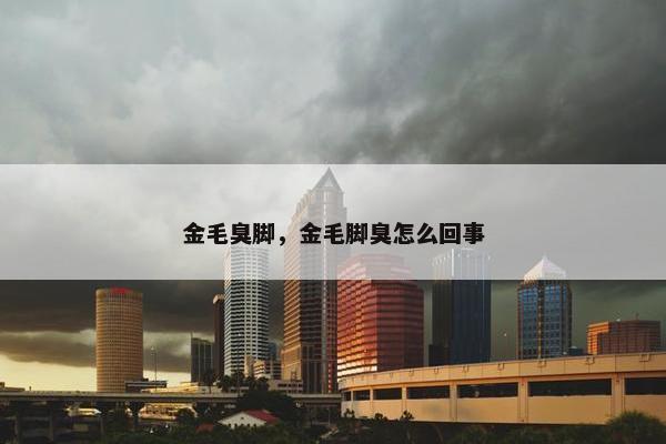 金毛臭脚，金毛脚臭怎么回事