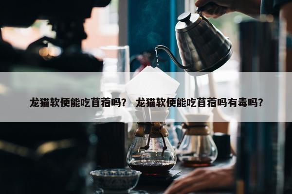 龙猫软便能吃苜蓿吗？ 龙猫软便能吃苜蓿吗有毒吗？