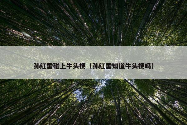 孙红雷碰上牛头梗（孙红雷知道牛头梗吗）