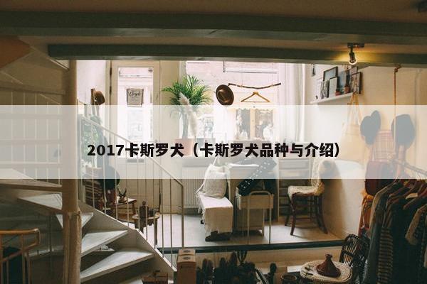 2017卡斯罗犬（卡斯罗犬品种与介绍）