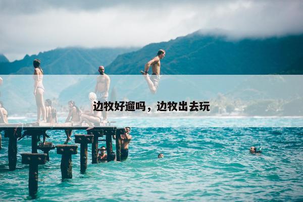 边牧好遛吗，边牧出去玩