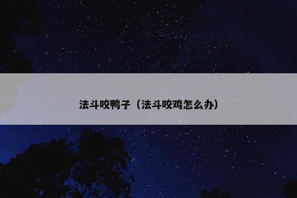 法斗咬鸭子（法斗咬鸡怎么办）