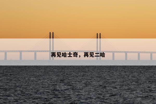 再见哈士奇，再见二哈