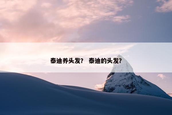 泰迪养头发？ 泰迪的头发？