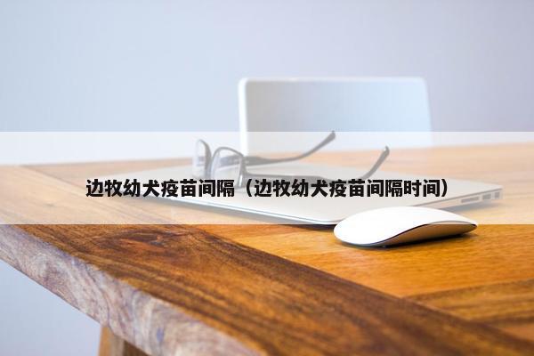 边牧幼犬疫苗间隔（边牧幼犬疫苗间隔时间）