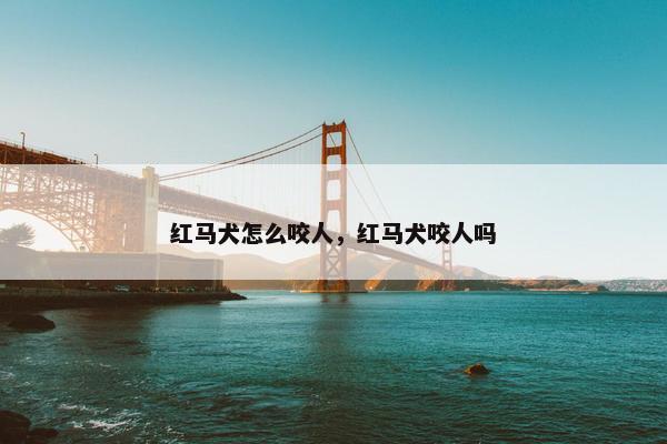 红马犬怎么咬人，红马犬咬人吗