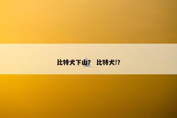 比特犬下山？ 比特犬!？