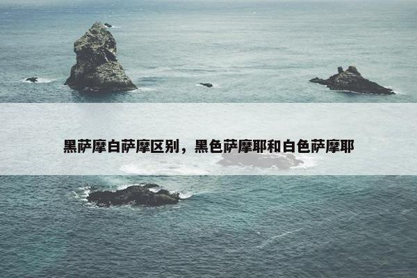 黑萨摩白萨摩区别，黑色萨摩耶和白色萨摩耶