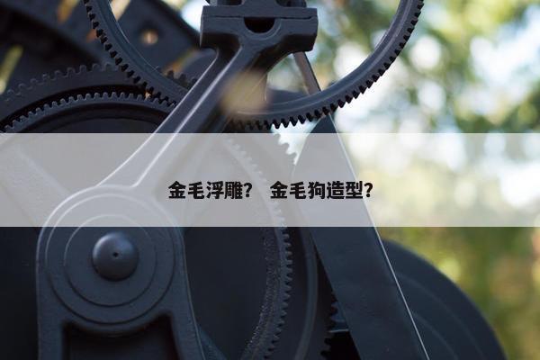 金毛浮雕？ 金毛狗造型？