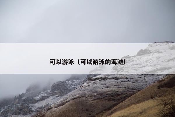 可以游泳（可以游泳的海滩）