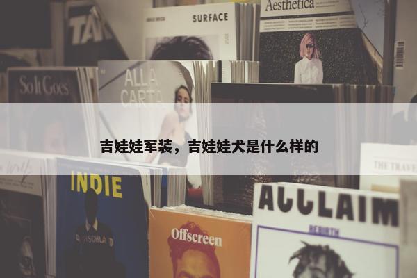 吉娃娃军装，吉娃娃犬是什么样的