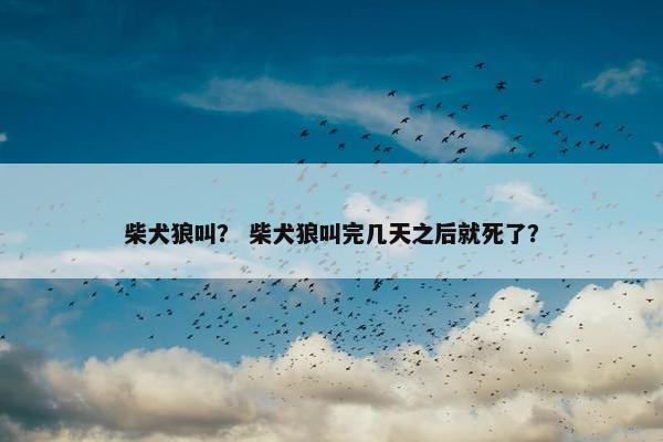柴犬狼叫？ 柴犬狼叫完几天之后就死了？