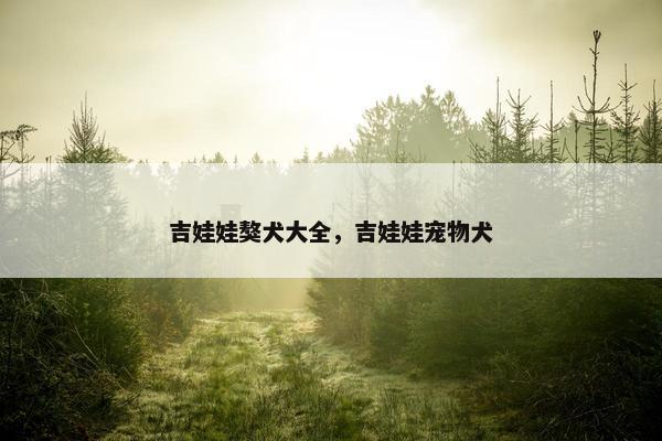 吉娃娃獒犬大全，吉娃娃宠物犬