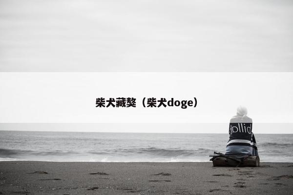 柴犬藏獒（柴犬doge）