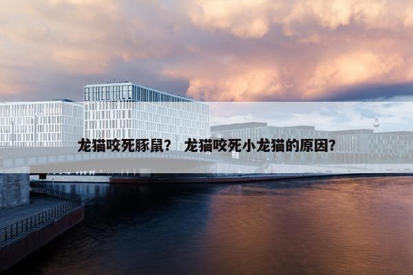 龙猫咬死豚鼠？ 龙猫咬死小龙猫的原因？