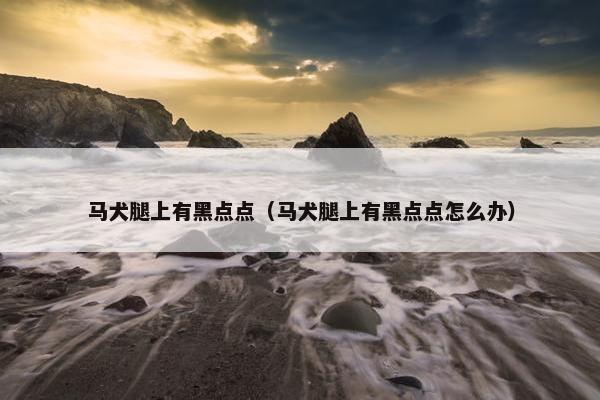 马犬腿上有黑点点（马犬腿上有黑点点怎么办）