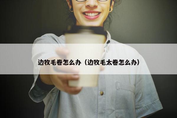 边牧毛卷怎么办（边牧毛太卷怎么办）