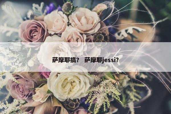 萨摩耶搞？ 萨摩耶jessi？