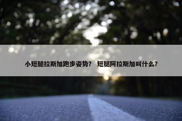 小短腿拉斯加跑步姿势？ 短腿阿拉斯加叫什么？