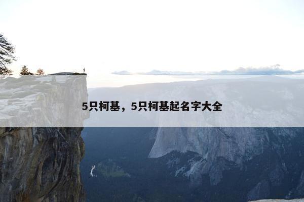5只柯基，5只柯基起名字大全